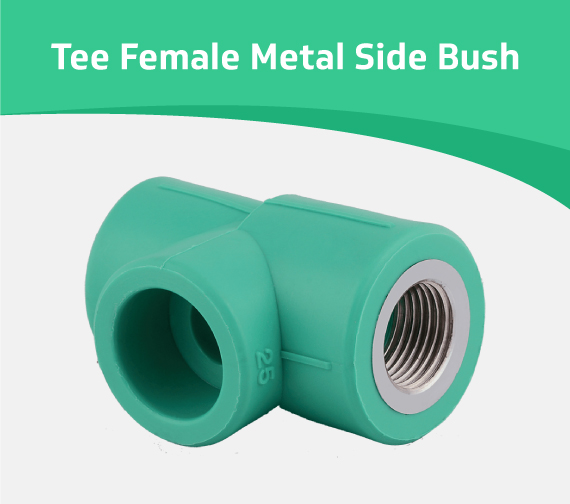 Tee Female Metal SIde Brush code 331-332 Minhas